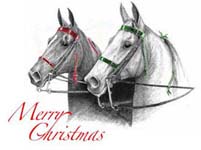 Saddle Horse Merry Christmas